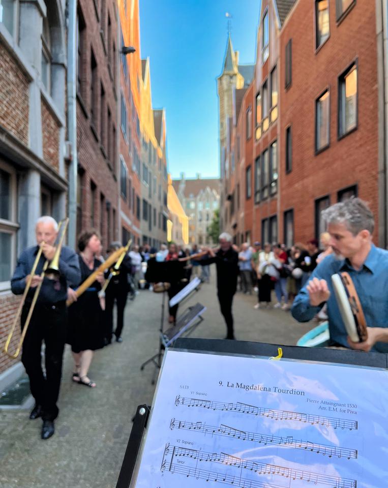 Fanfare langsheen het Vleeshuis tijdens Museumnacht